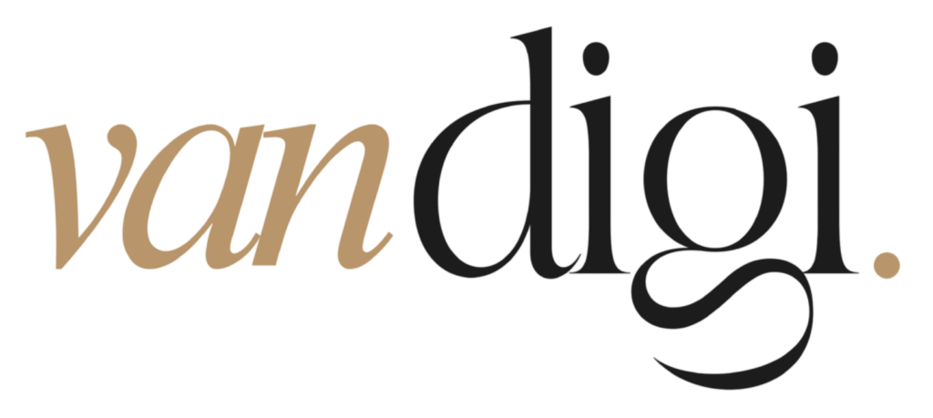 Logo Vandigi Webdesign